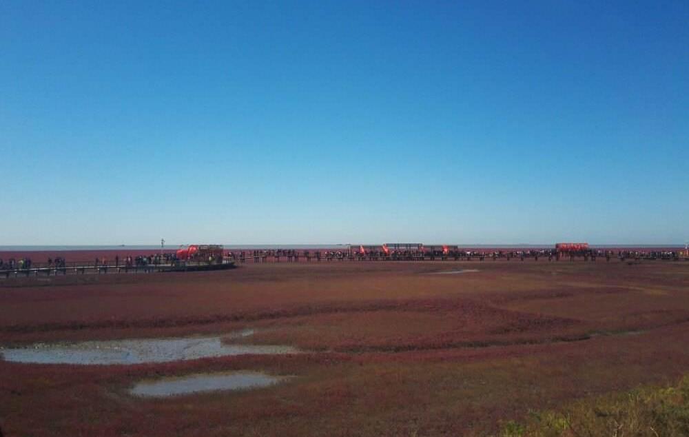 北京出發(fā)自駕觀紅海灘奇觀，品盤錦稻田蟹、愜意遼河游船晚餐特色之旅2日游