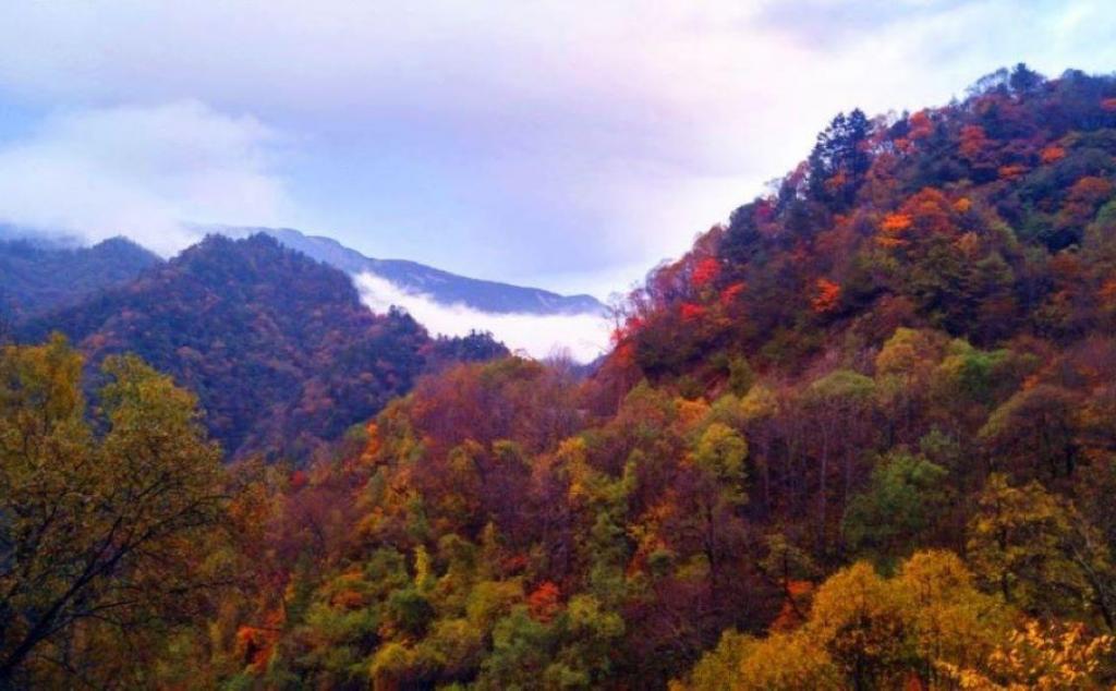 北京出發(fā)山西陽(yáng)泉2日自駕游：大美藏山-大汖溫泉-特色古村休閑自駕游 