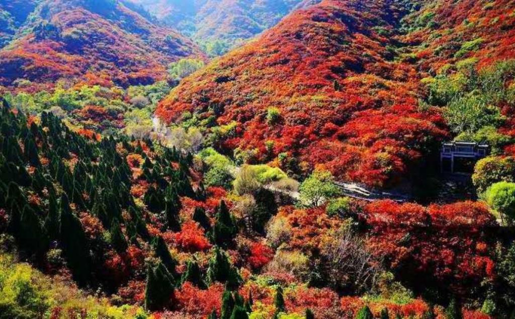 北京出發(fā)河北山東8日自駕：石頭村、西柏坡、白鹿溫泉、王硇村8日自駕