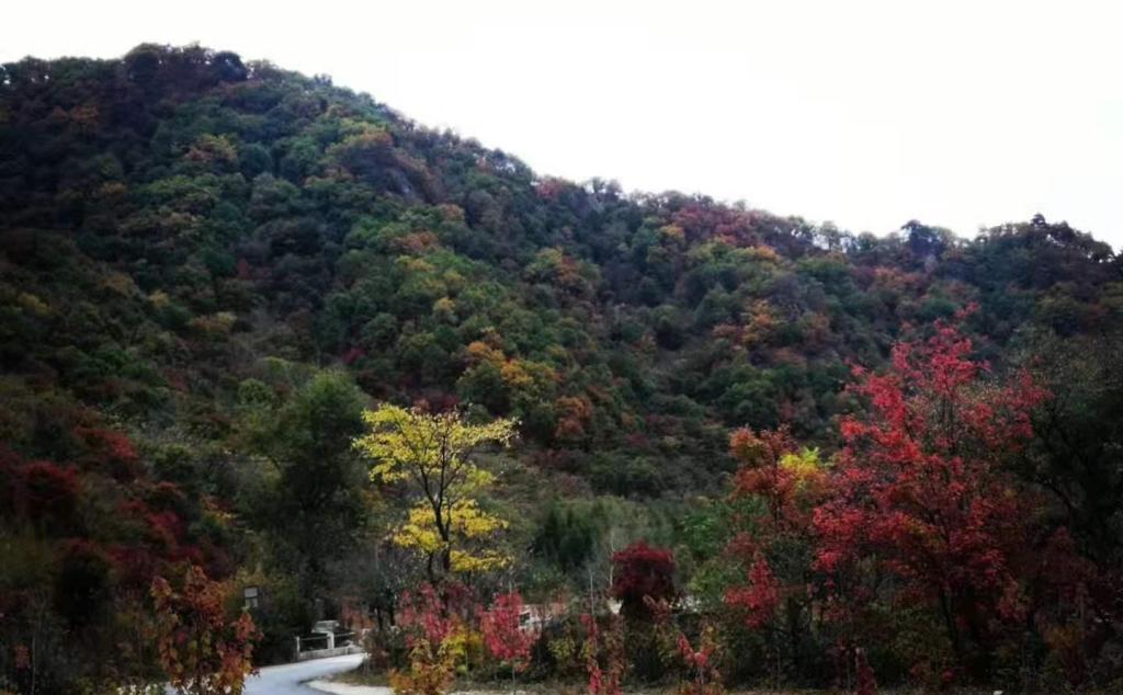 北京出發(fā)東北6日自駕游：關(guān)門山森林公園-本恒公路-虎山長(zhǎng)城-全程五星酒店6日自駕游