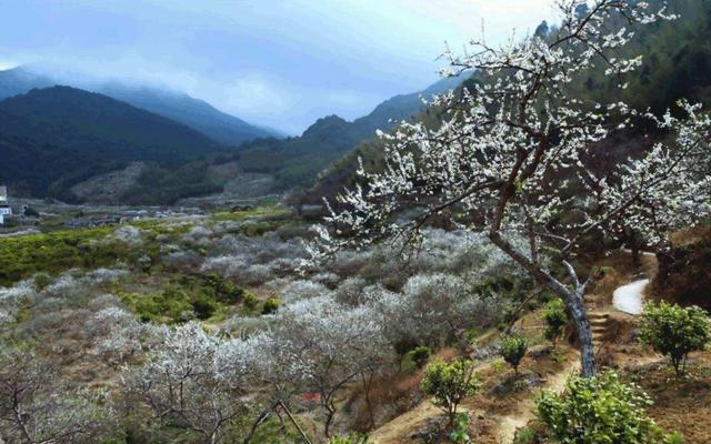 周末中山周邊自駕游：增城品盆菜-從化石門森林公園賞楓葉-溪頭村尋梅2天自駕