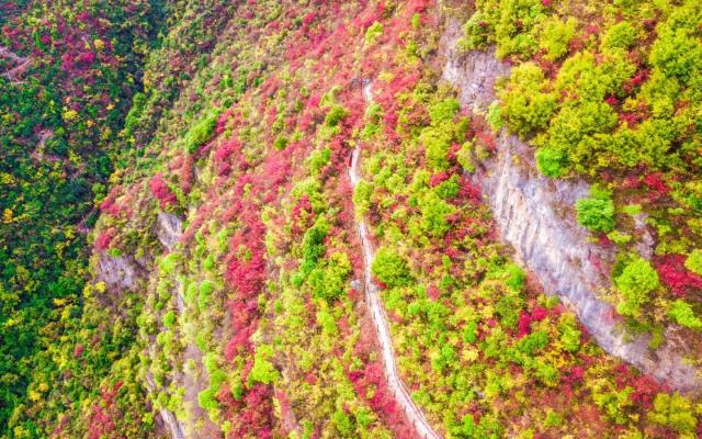 長沙出發(fā)重慶宜昌4日自駕游：宜昌三峽大壩-巫山小三峽-神女天路紅葉4日自駕游