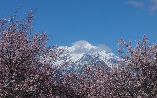 成都出發(fā)西藏11日半自由行：甲居藏寨-新都橋-稻城亞丁-梅里雪山- 林芝-圣城拉薩11天半自由行