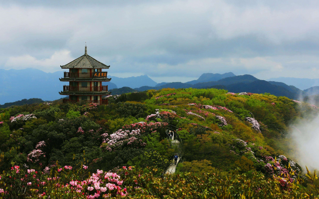 重慶周邊自駕游：金佛山泡溫泉-欣賞高山杜鵑花-金佛山4日自駕游