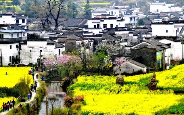 山東出發(fā)自駕江西婺源賞花5日游：婺源-天柱山-三河古鎮(zhèn)-壽縣古城婺源深度游