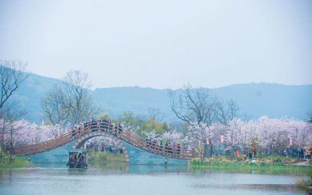 山東出發(fā)江蘇賞花4日游：太湖黿頭渚の櫻花-拈花灣禪意小鎮(zhèn)-興化跺田花海4日游