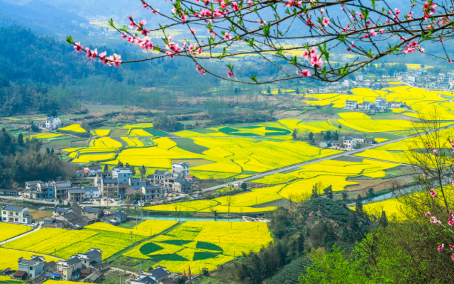 青島出發(fā)安徽6日攝影自駕：柯村油菜花+桃花潭+皖南川藏線+寧國(guó)+新安江山水畫(huà)廊