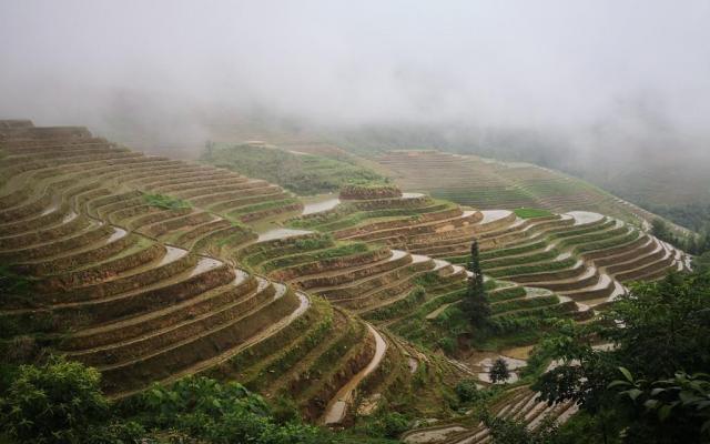 廣東出發(fā)五一廣西三江龍脊4日自駕游：三江程陽風(fēng)雨橋-侗寨-龍脊梯田4日自駕游