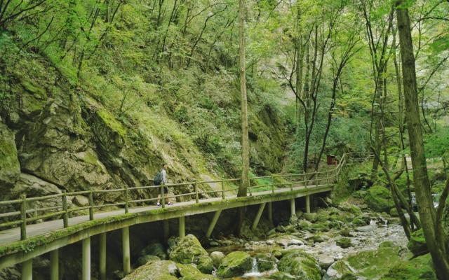 寧夏銀川出發(fā)4日自駕：牛背梁、柞水溶洞、陳爐古鎮(zhèn)、終南山寨、袁家村4日自駕游